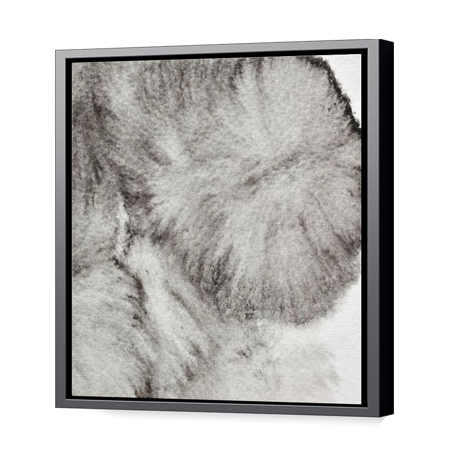 Thumbnail for Canvas - Black Floating Frame