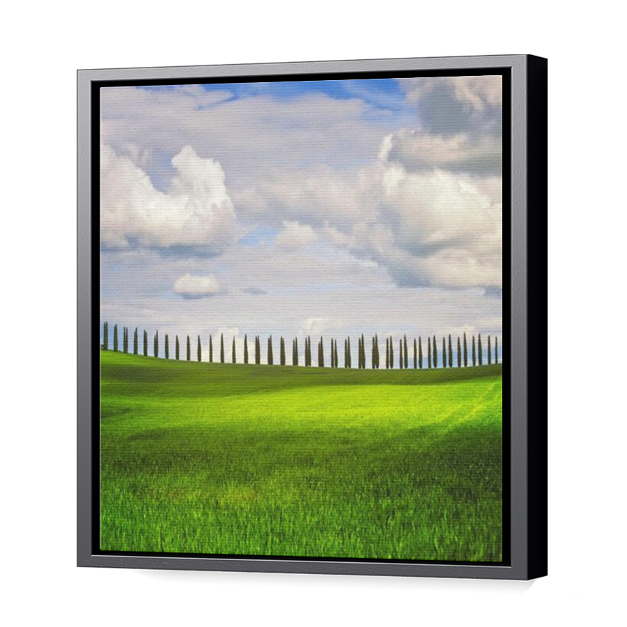 Thumbnail for Canvas - Black Floating Frame