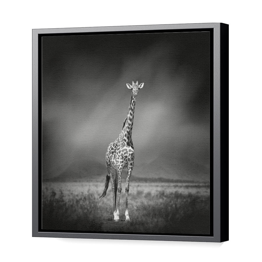 Thumbnail for Canvas - Black Floating Frame