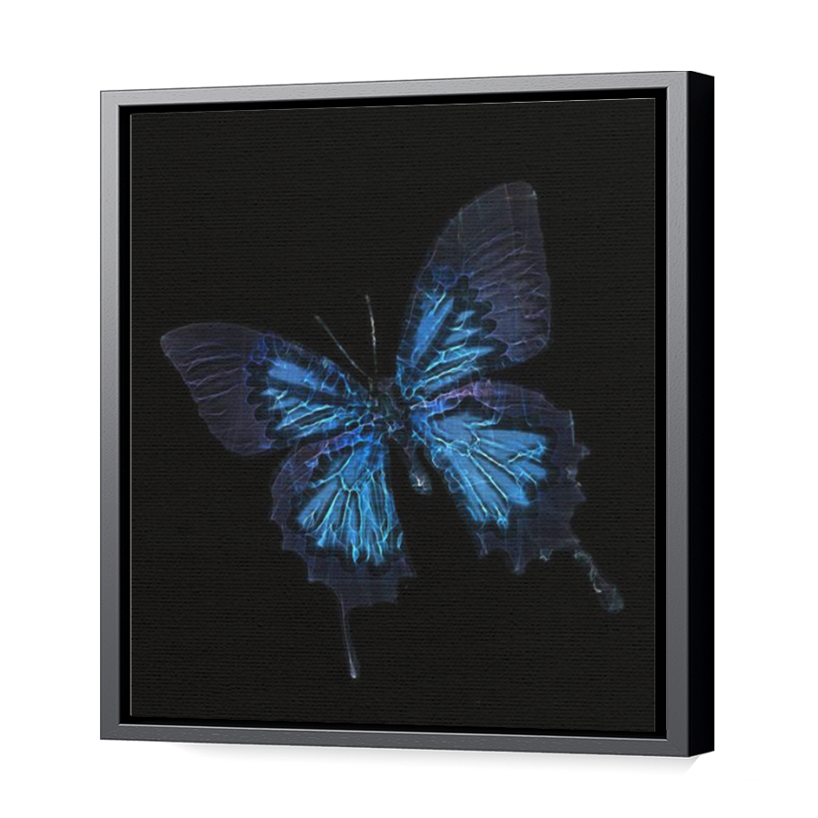 Thumbnail for Canvas - Black Floating Frame