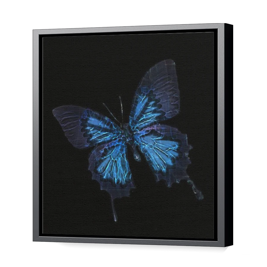Thumbnail for Canvas - Black Floating Frame