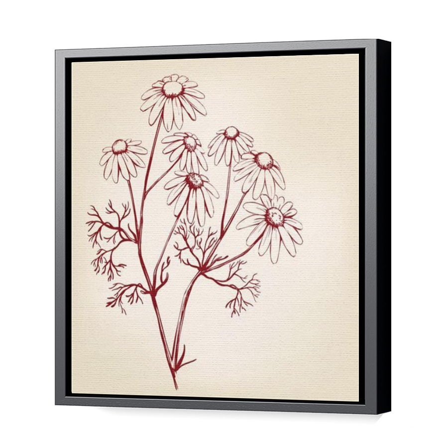 Thumbnail for Canvas - Black Floating Frame