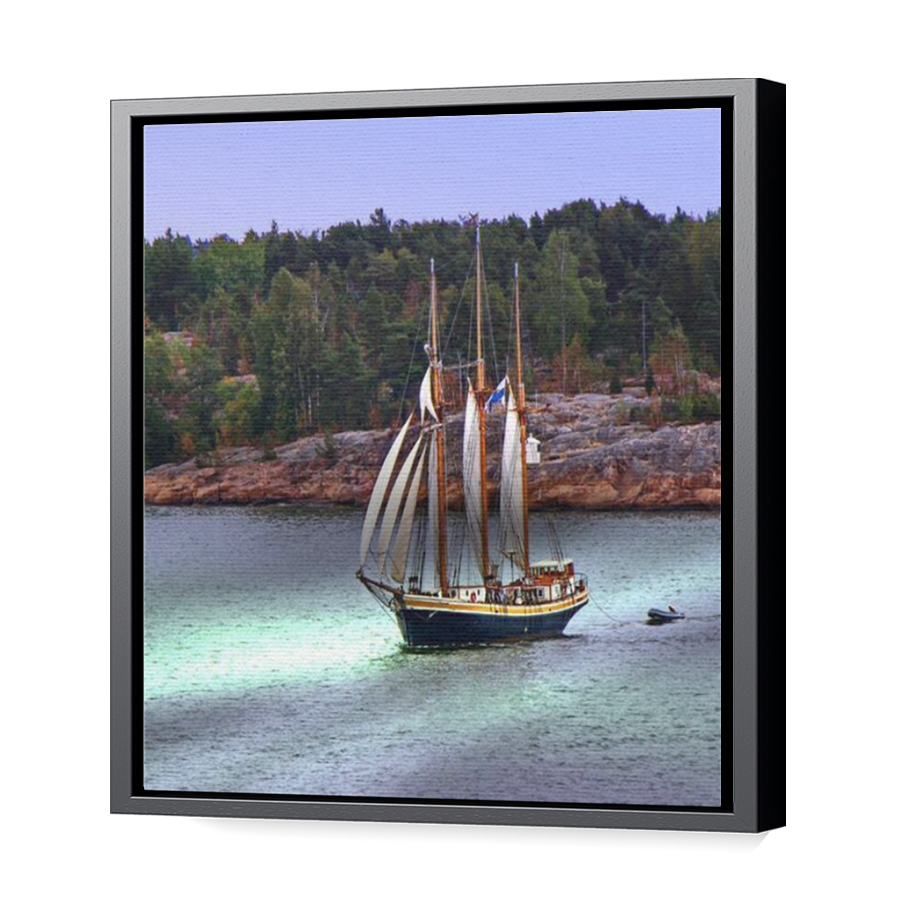 Thumbnail for Canvas - Black Floating Frame