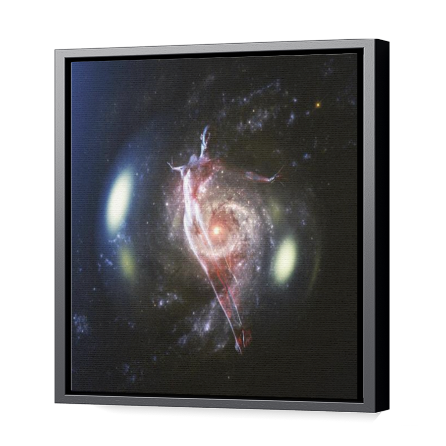 Thumbnail for Canvas - Black Floating Frame