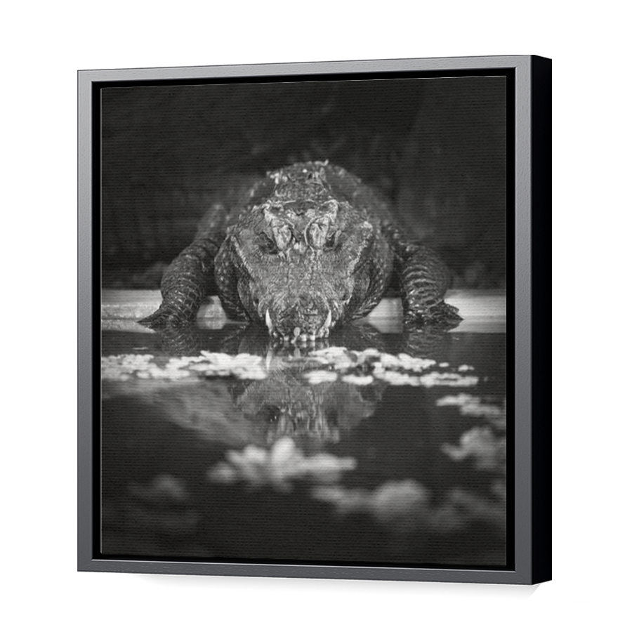 Thumbnail for Canvas - Black Floating Frame