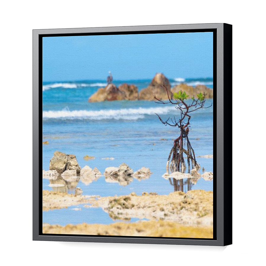 Thumbnail for Canvas - Black Floating Frame