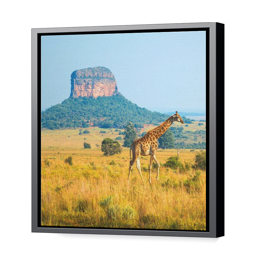 Thumbnail for Canvas - Black Floating Frame