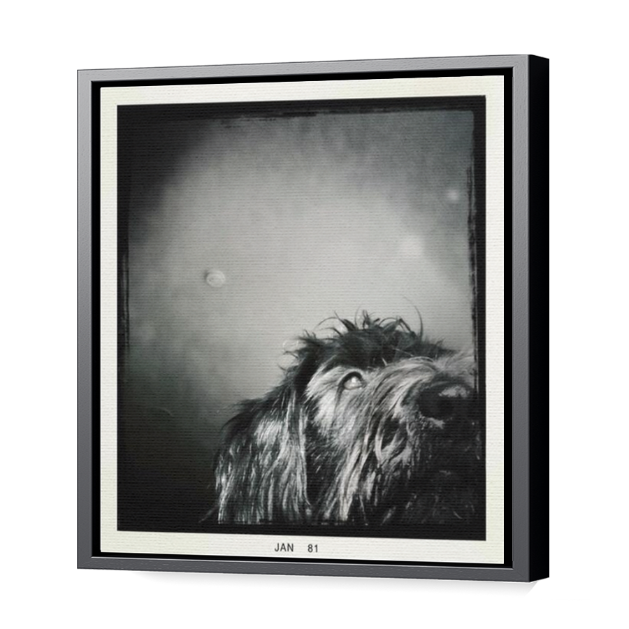 Thumbnail for Canvas - Black Floating Frame