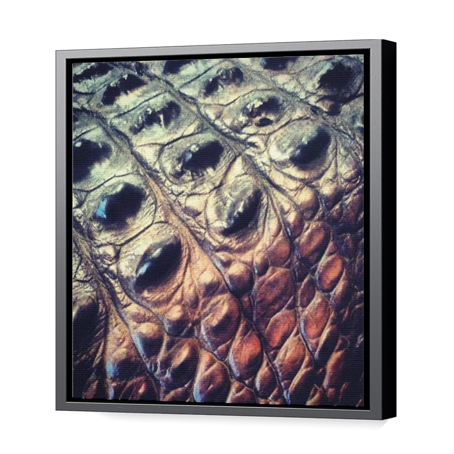Thumbnail for Canvas - Black Floating Frame