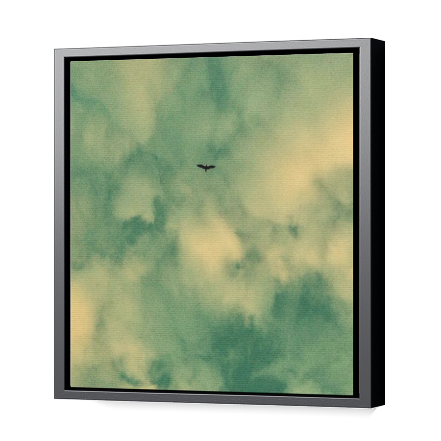 Thumbnail for Canvas - Black Floating Frame