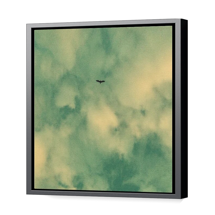 Thumbnail for Canvas - Black Floating Frame