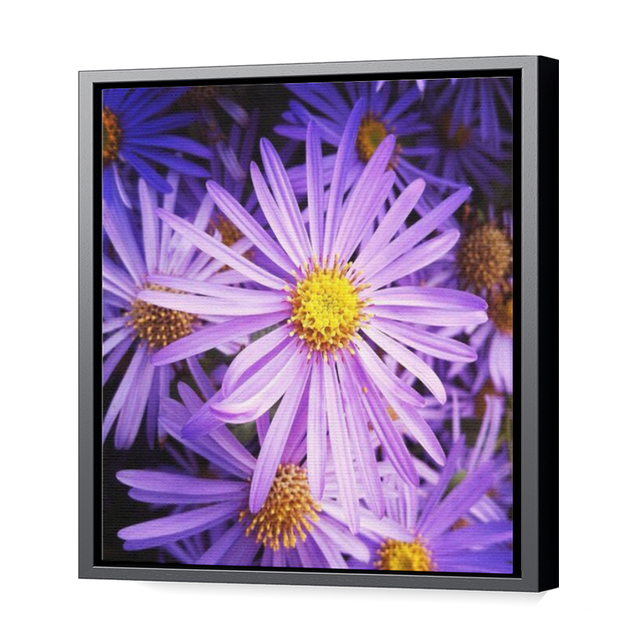 Thumbnail for Canvas - Black Floating Frame