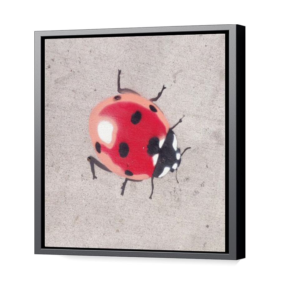 Thumbnail for Canvas - Black Floating Frame