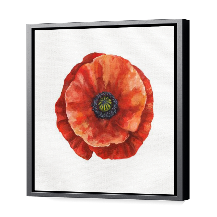 Thumbnail for Canvas - Black Floating Frame