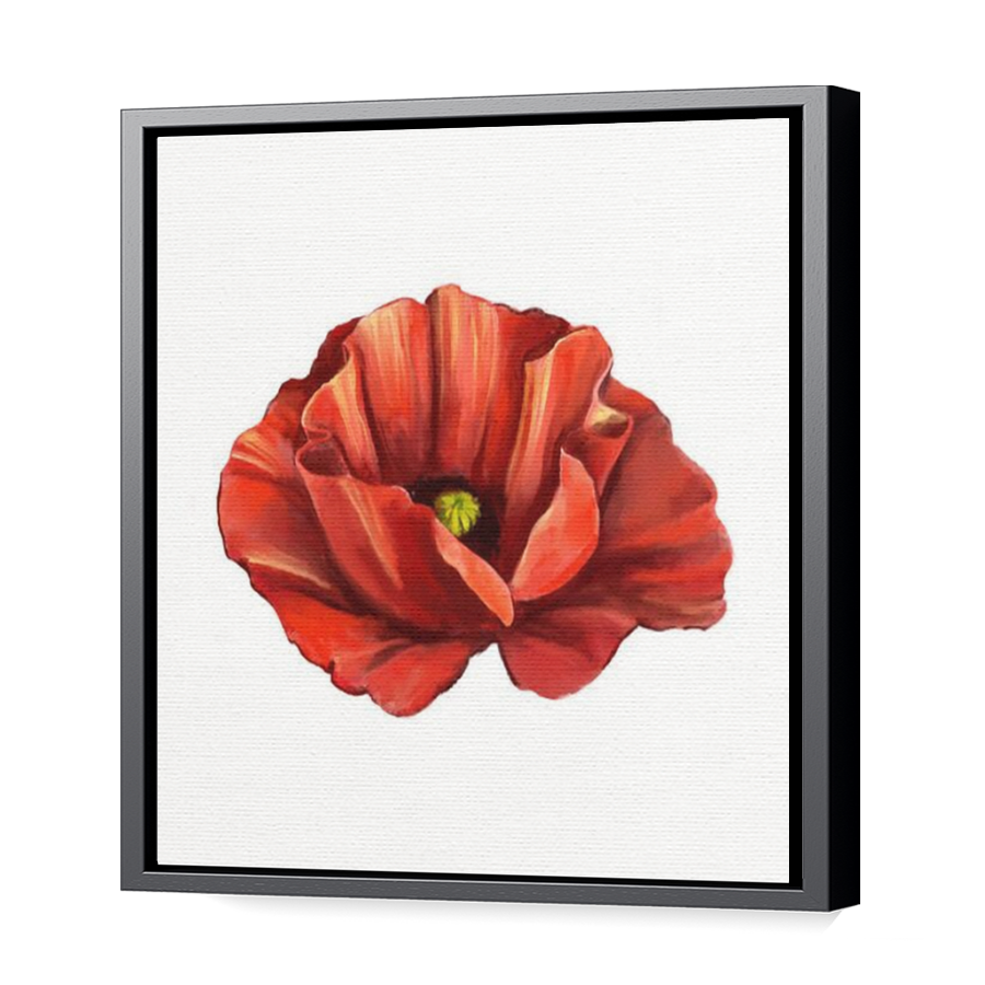 Thumbnail for Canvas - Black Floating Frame
