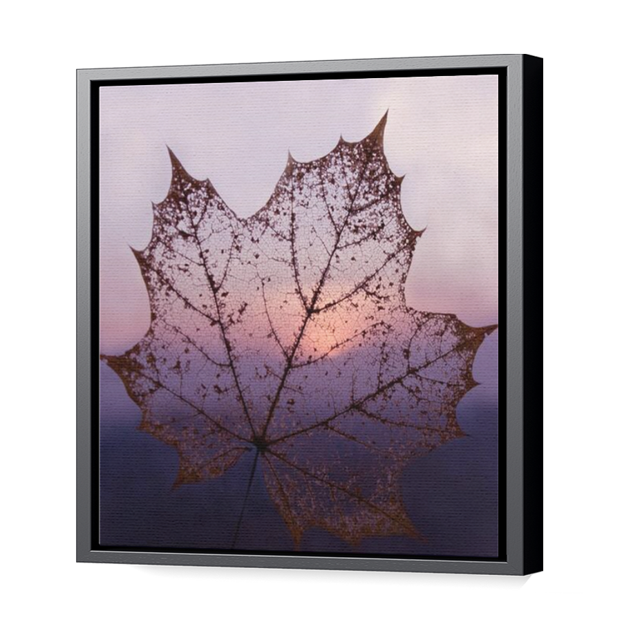 Thumbnail for Canvas - Black Floating Frame