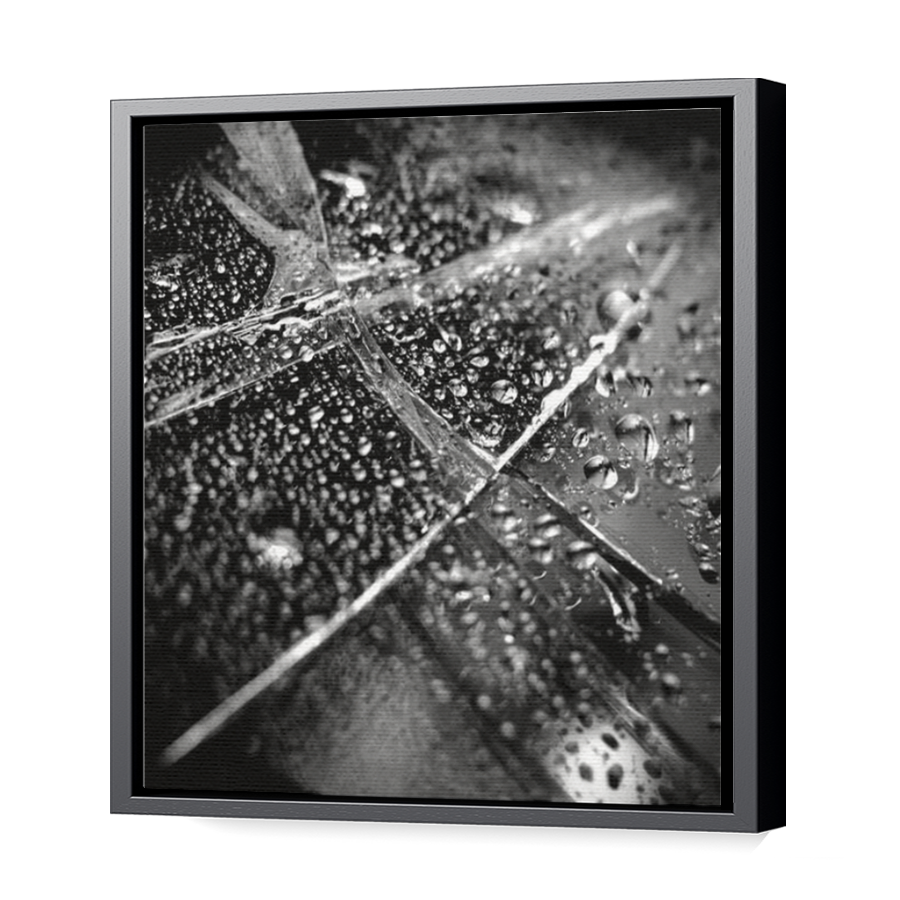 Thumbnail for Canvas - Black Floating Frame