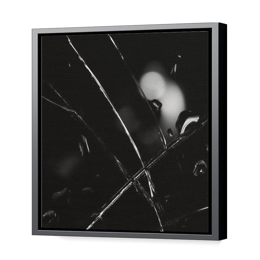 Thumbnail for Canvas - Black Floating Frame