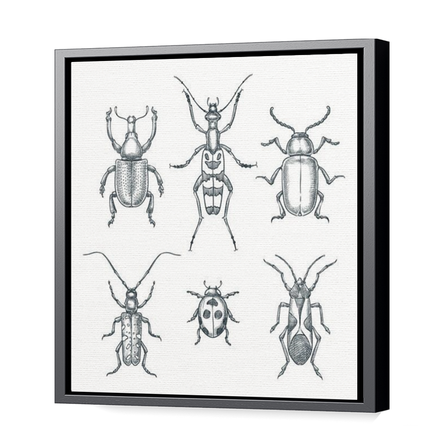 Thumbnail for Canvas - Black Floating Frame