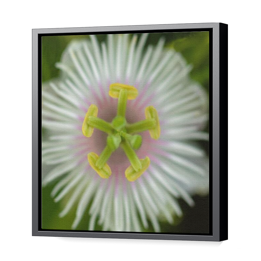 Thumbnail for Canvas - Black Floating Frame