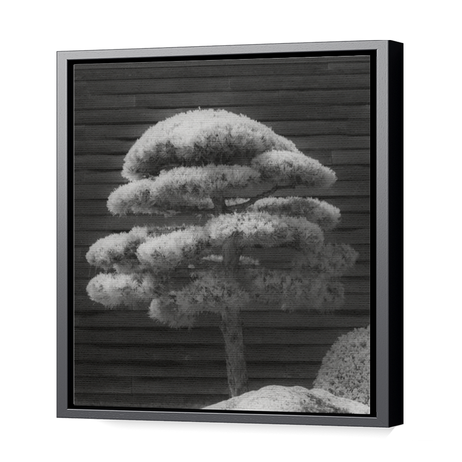 Thumbnail for Canvas - Black Floating Frame