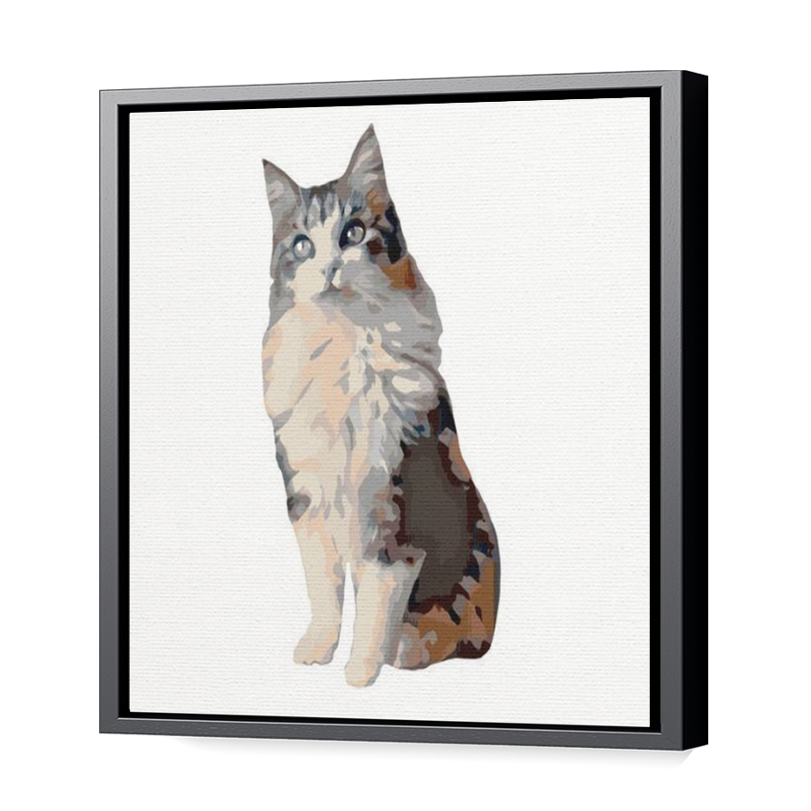 Thumbnail for Canvas - Black Floating Frame