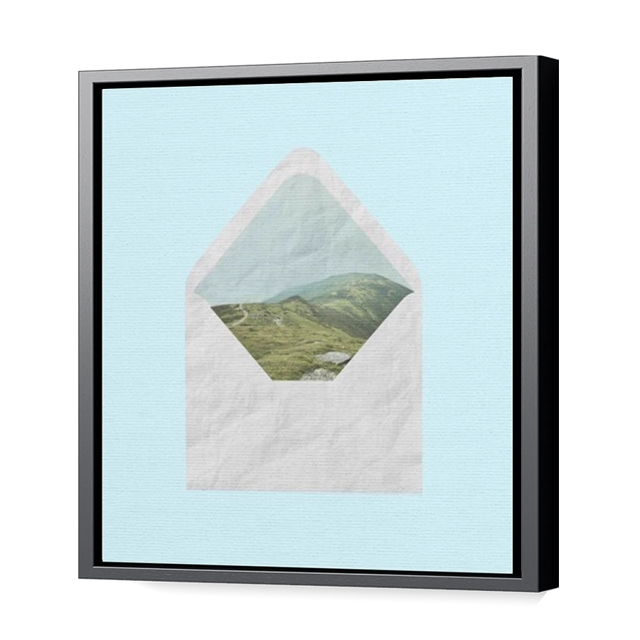 Thumbnail for Canvas - Black Floating Frame