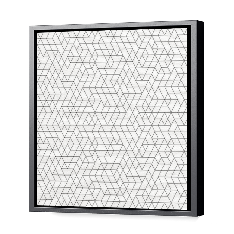 Thumbnail for Canvas - Black Floating Frame