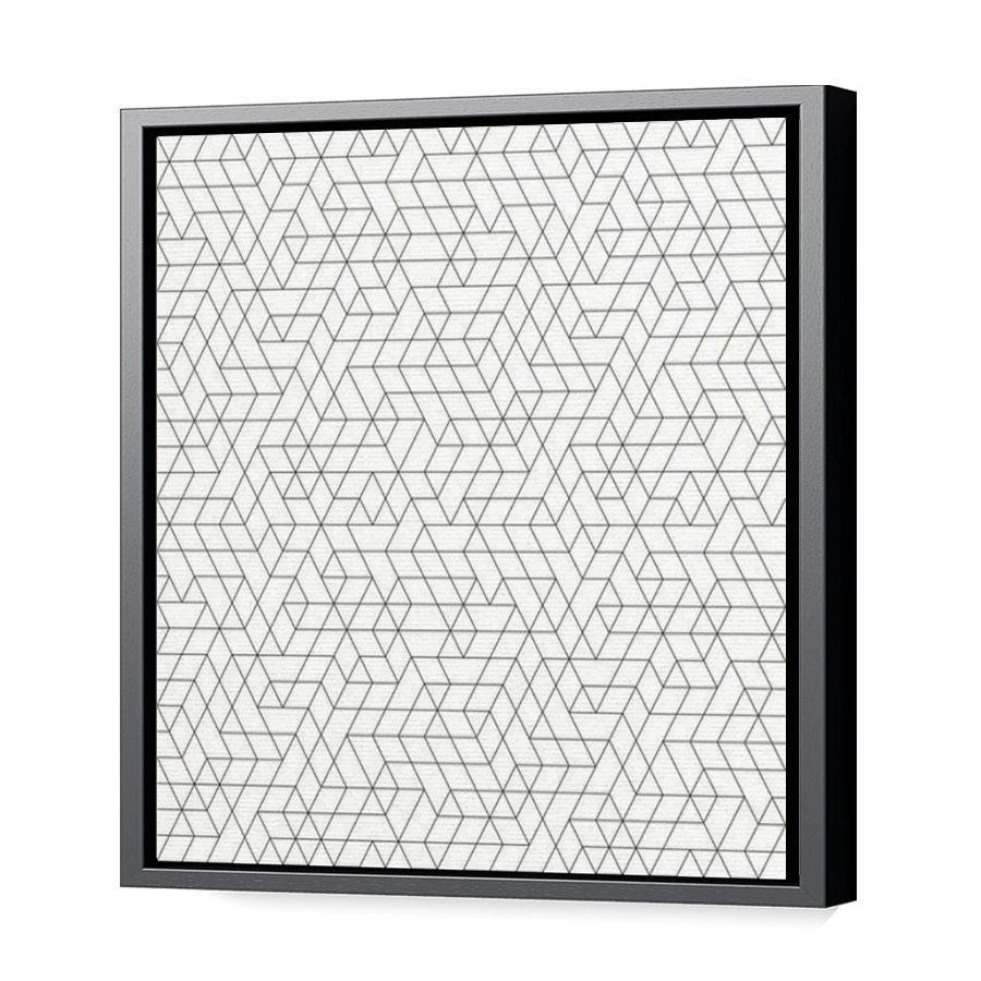 Thumbnail for Canvas - Black Floating Frame