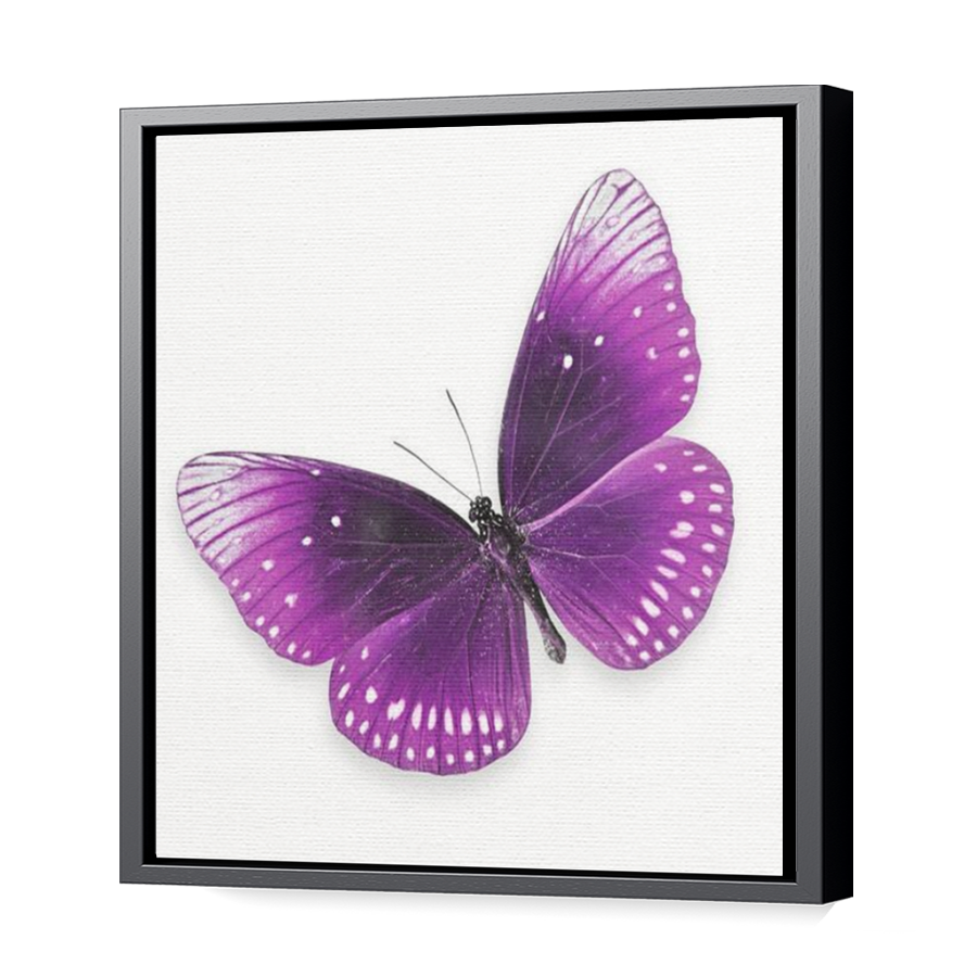 Thumbnail for Canvas - Black Floating Frame
