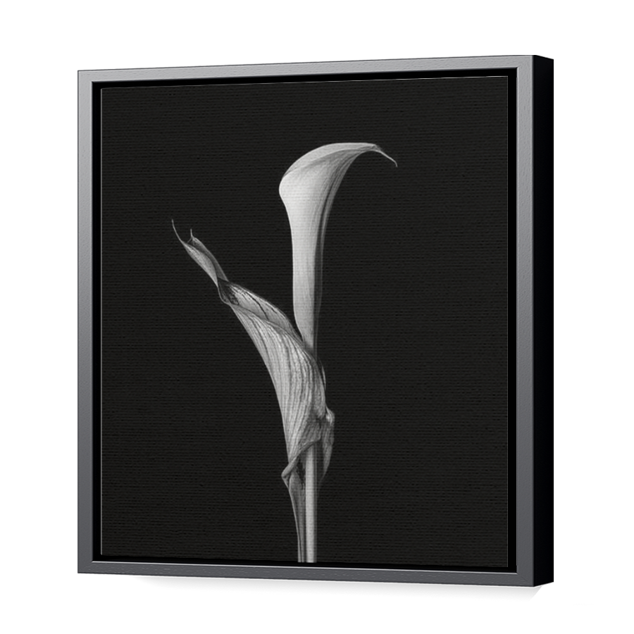 Thumbnail for Canvas - Black Floating Frame