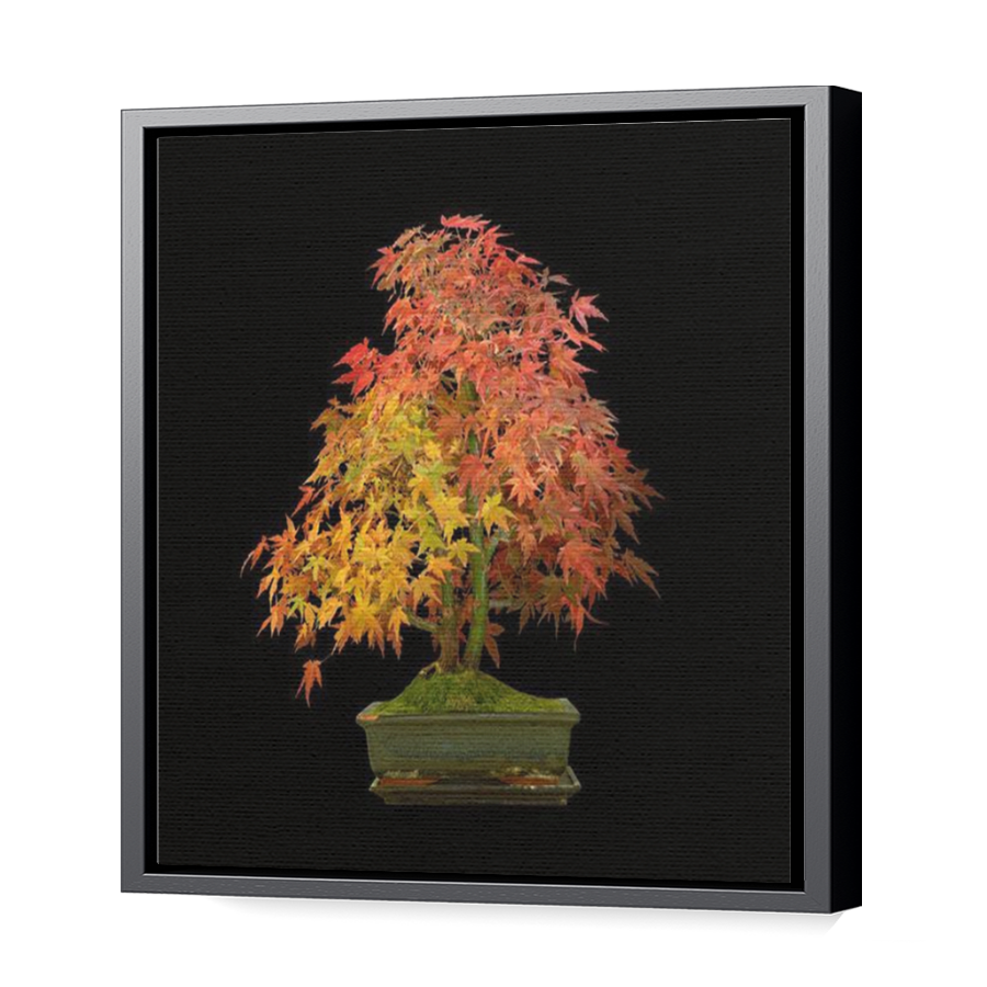 Thumbnail for Canvas - Black Floating Frame