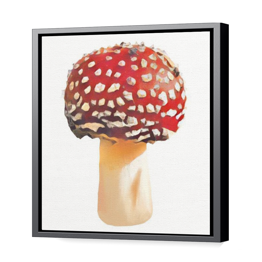 Thumbnail for Canvas - Black Floating Frame