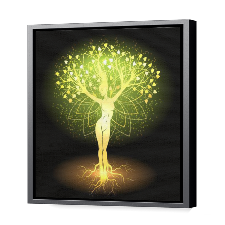 Thumbnail for Canvas - Black Floating Frame