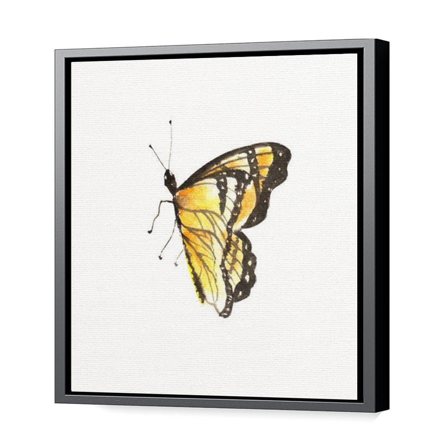 Thumbnail for Canvas - Black Floating Frame