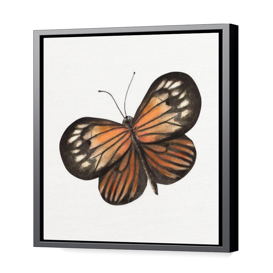 Thumbnail for Canvas - Black Floating Frame
