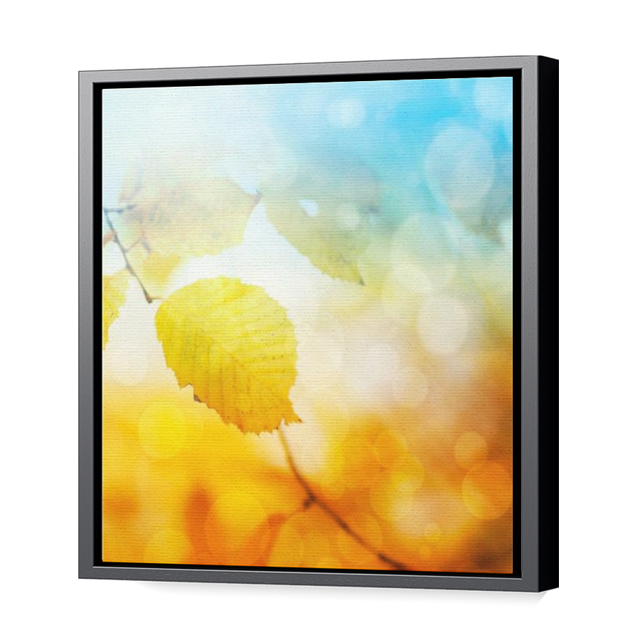 Thumbnail for Canvas - Black Floating Frame