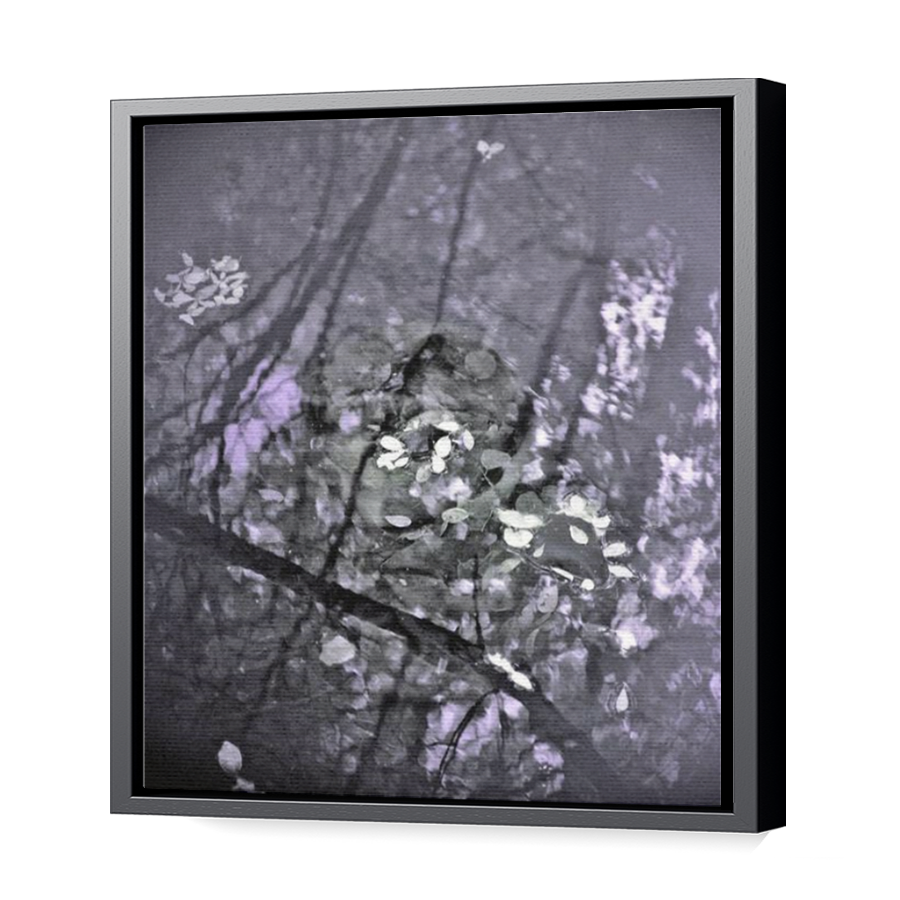 Thumbnail for Canvas - Black Floating Frame