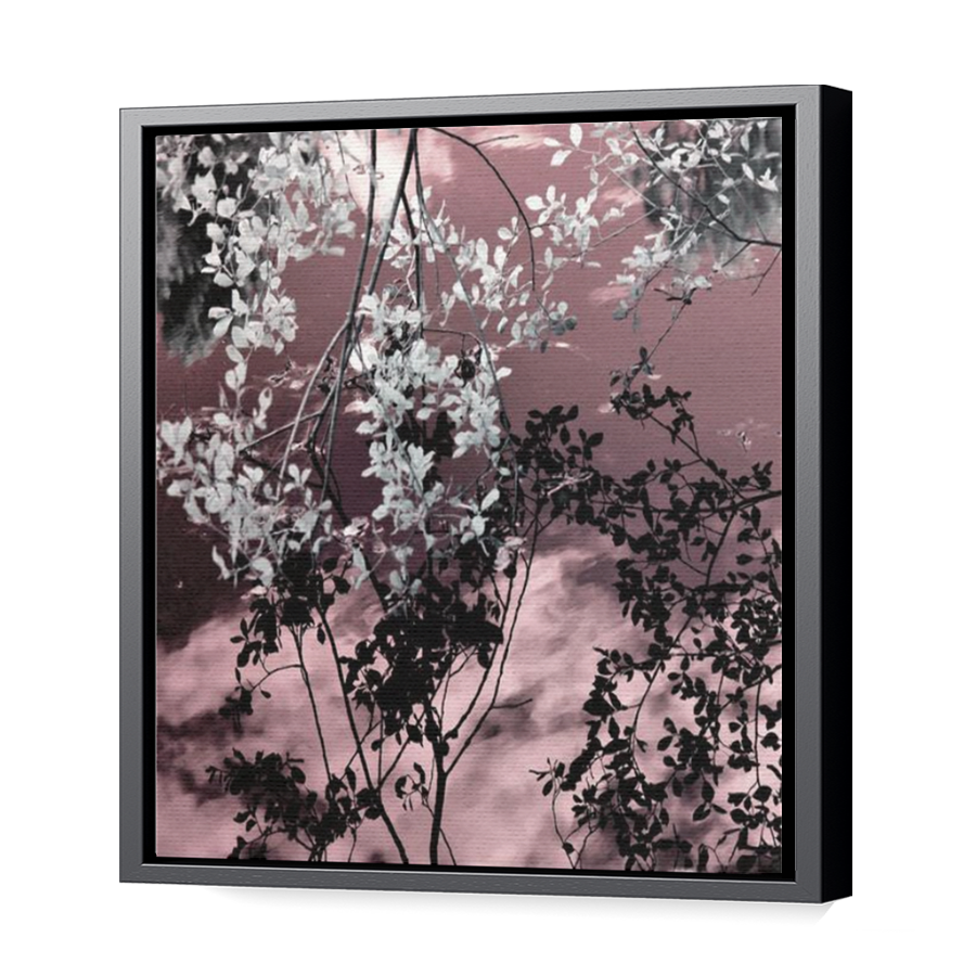 Thumbnail for Canvas - Black Floating Frame