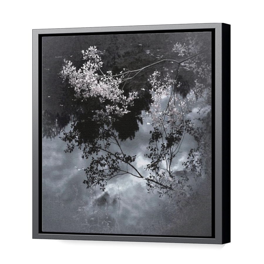 Thumbnail for Canvas - Black Floating Frame
