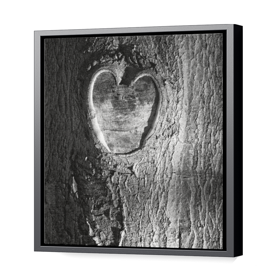 Thumbnail for Canvas - Black Floating Frame