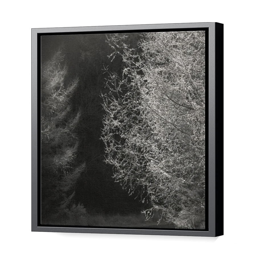 Thumbnail for Canvas - Black Floating Frame