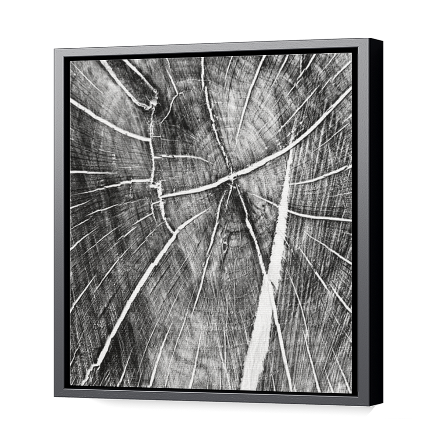 Thumbnail for Canvas - Black Floating Frame