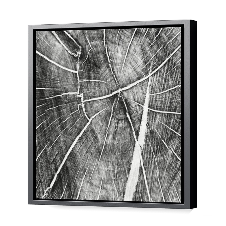 Thumbnail for Canvas - Black Floating Frame