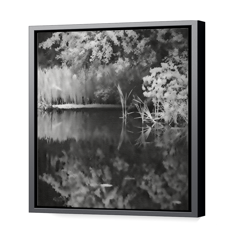 Thumbnail for Canvas - Black Floating Frame