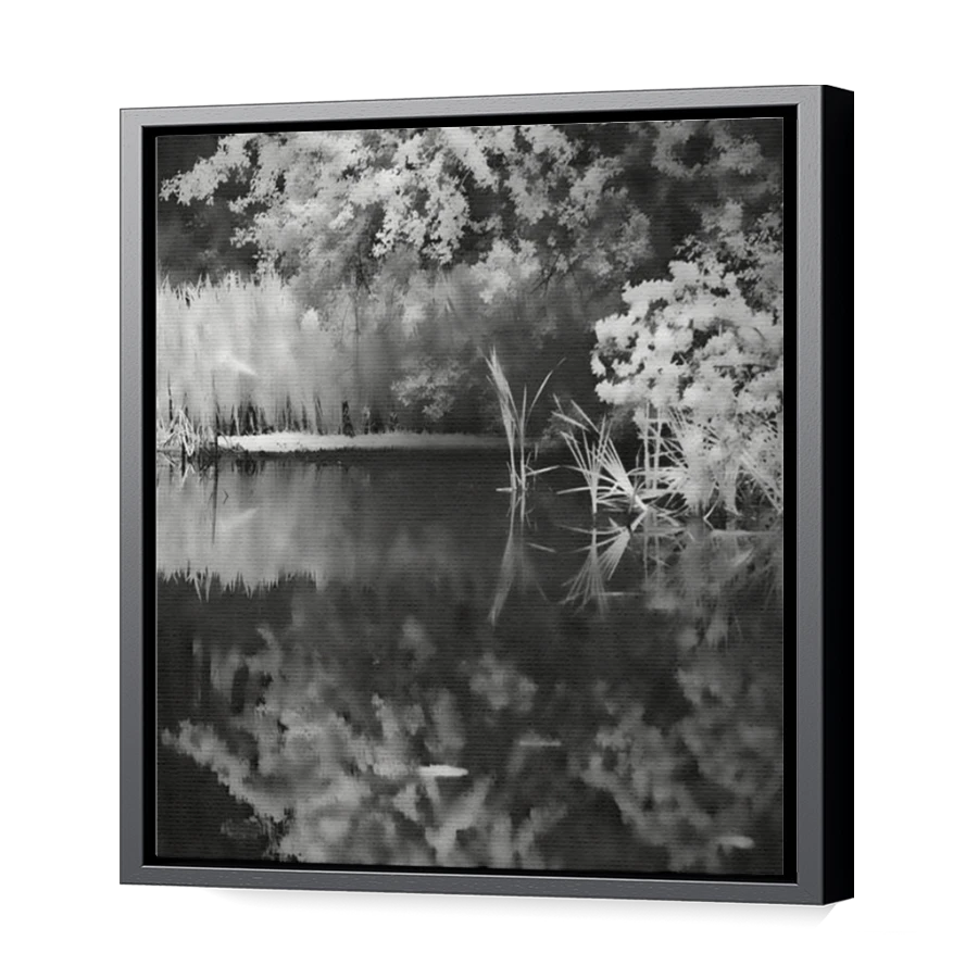 Thumbnail for Canvas - Black Floating Frame