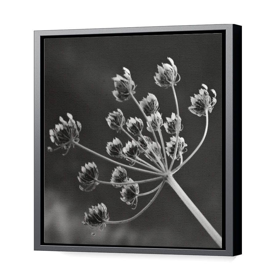 Thumbnail for Canvas - Black Floating Frame
