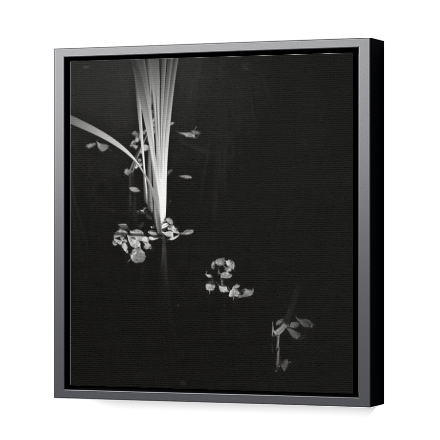 Thumbnail for Canvas - Black Floating Frame