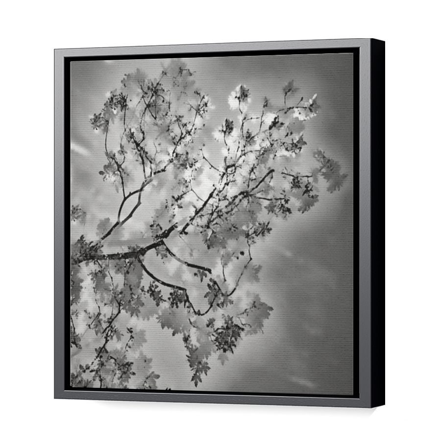 Thumbnail for Canvas - Black Floating Frame