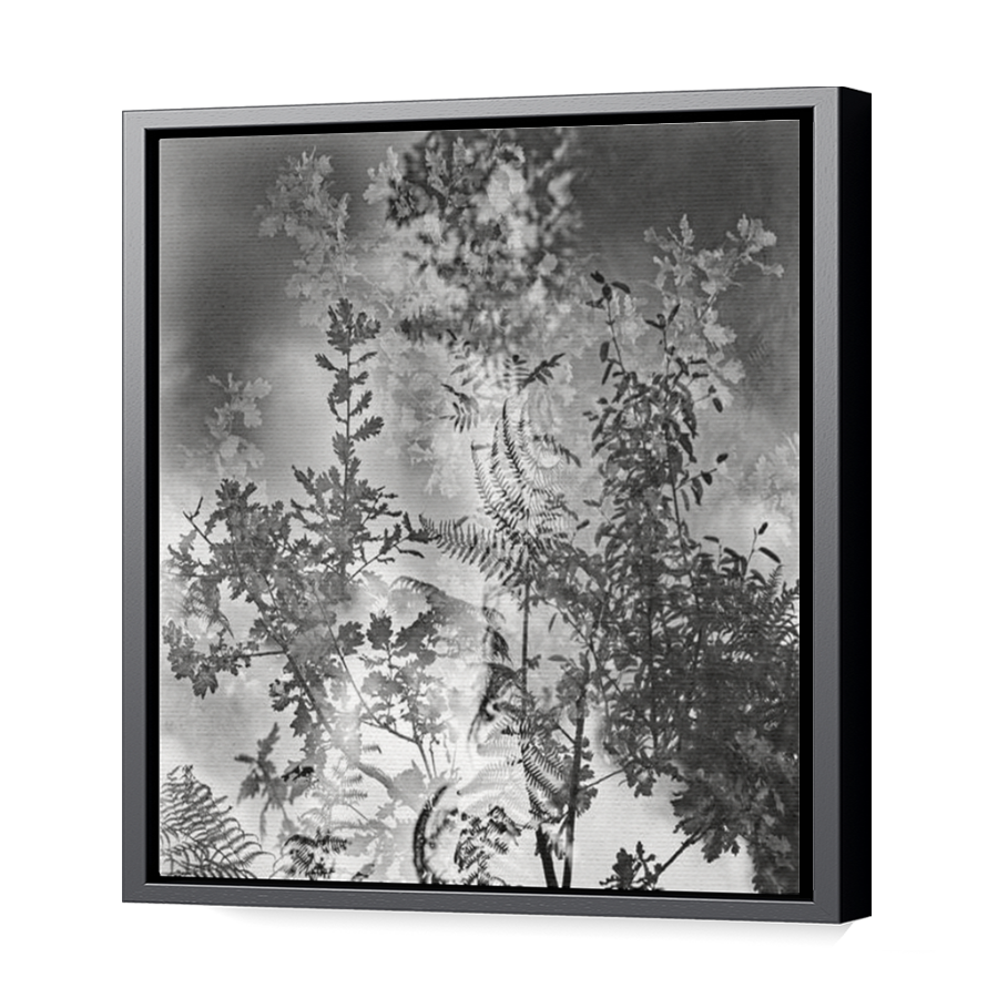 Thumbnail for Canvas - Black Floating Frame